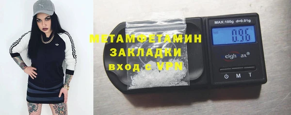 прущие грибы Семилуки