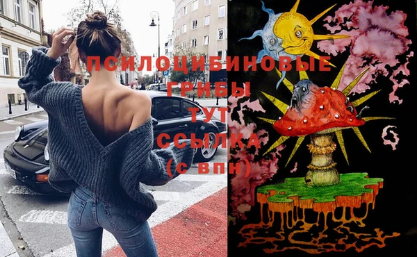 хмурый Балахна