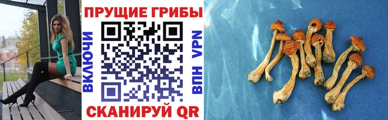 Галлюциногенные грибы ЛСД  закладка  Короча 